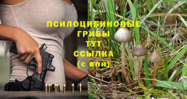 стафф Абинск