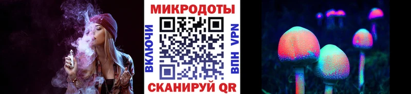 хочу   Ковдор  Галлюциногенные грибы Psilocybe 